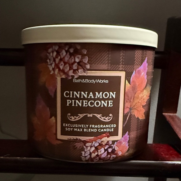 Bath & Body Works Other - Bath & Body Works Cinnamon Pinecone Candle